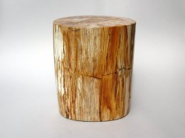 Petrified wood column/ side table.